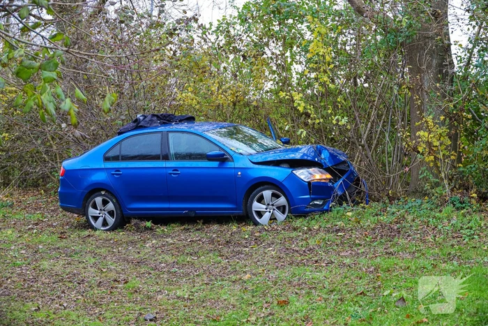 Automobilist raakt van weg en botst frontaal tegen boom