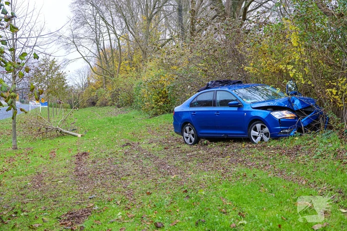 Automobilist raakt van weg en botst frontaal tegen boom