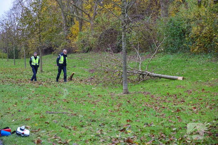 Automobilist raakt van weg en botst frontaal tegen boom