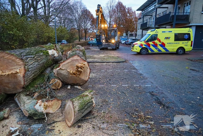 Vrouw gewon bij botsing met vrachtwagen