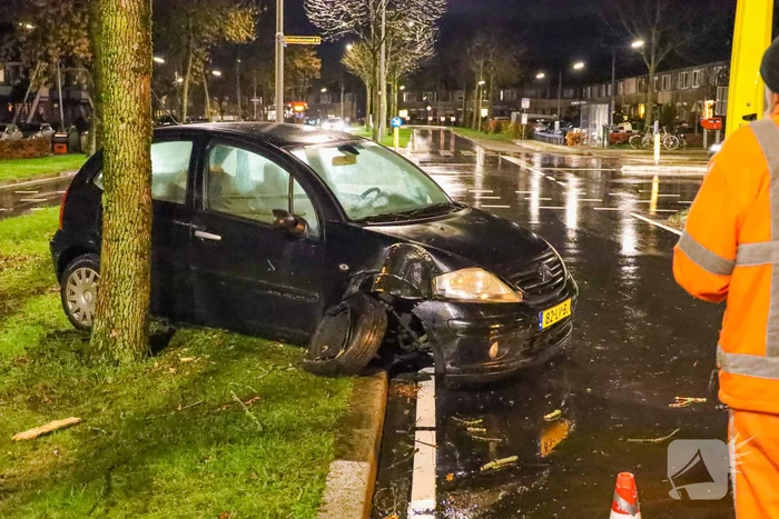 Automobilist eindigt met auto tegen boom
