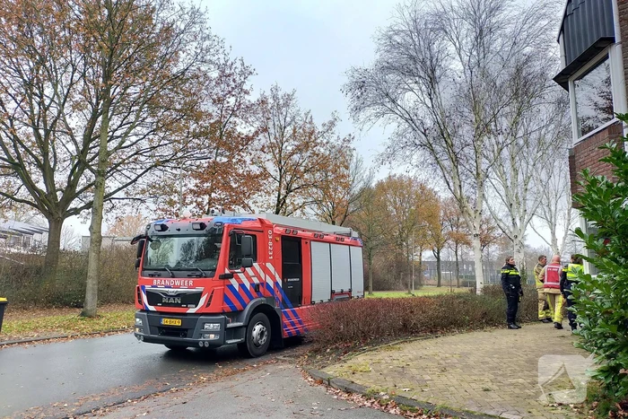 nieuws het sticht assen