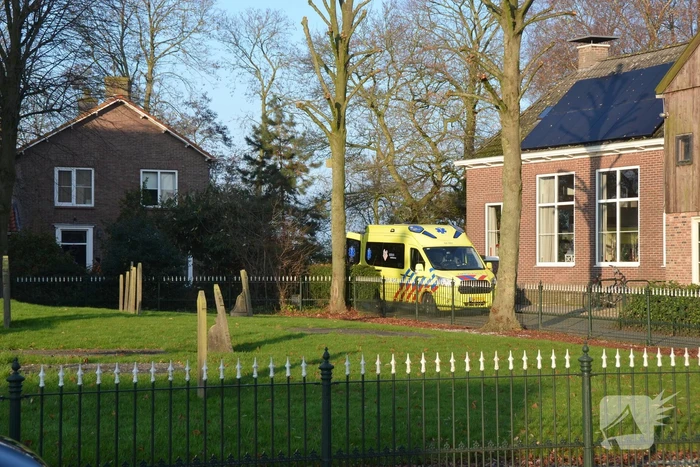 Persoon valt uit de boom tijdens snoeiwerkzaamheden