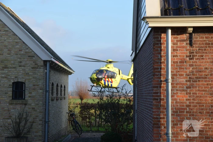 Persoon valt uit de boom tijdens snoeiwerkzaamheden