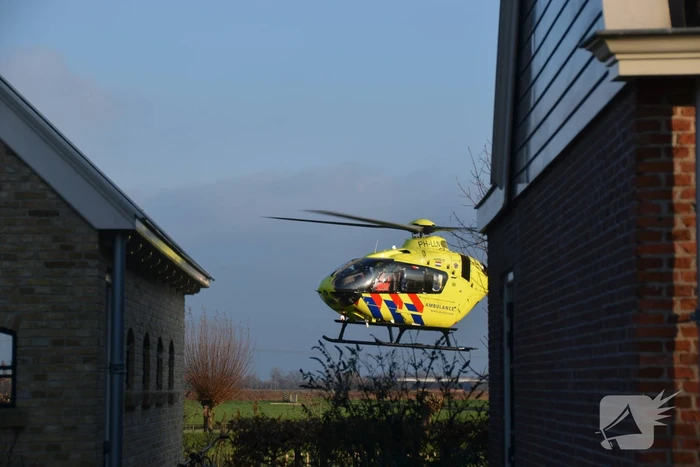 Persoon valt uit de boom tijdens snoeiwerkzaamheden