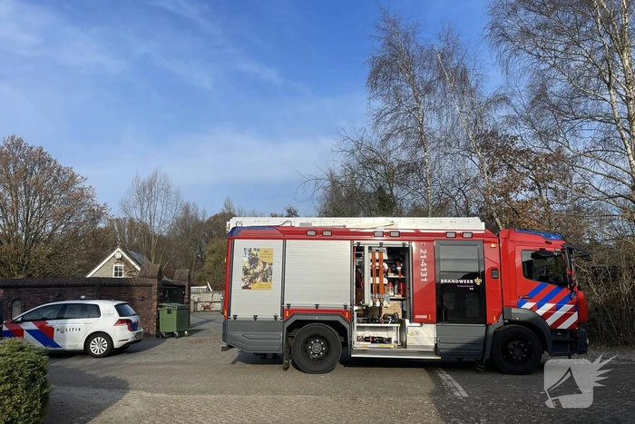 Kwekerij met meer dan 500 wietplanten opgerold