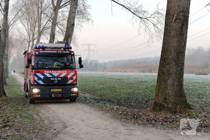Duikers halen man en hond van ijs