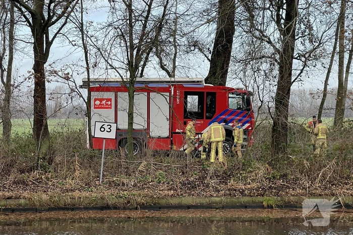 Reddingsactie komt te laat voor hert