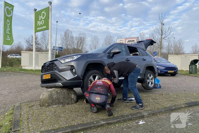 Automobilist komt terecht op varkensrug