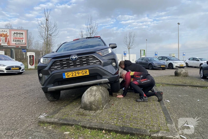 Automobilist komt terecht op varkensrug
