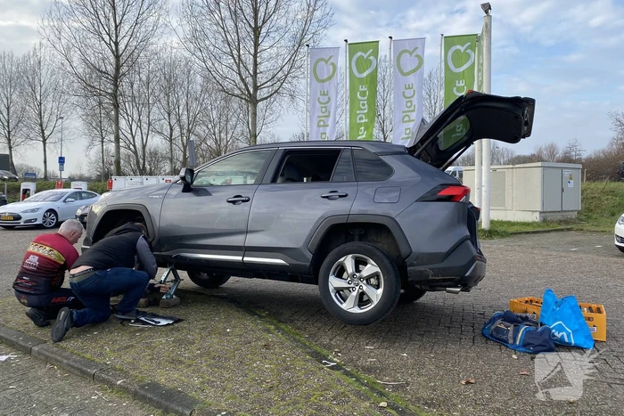 Automobilist komt terecht op varkensrug