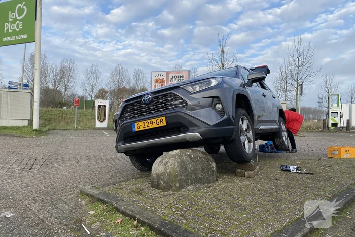 Automobilist komt terecht op varkensrug