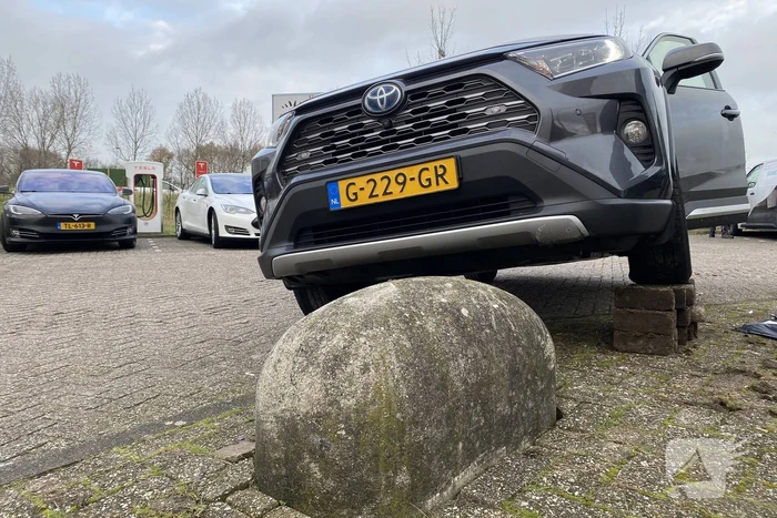 Automobilist komt terecht op varkensrug