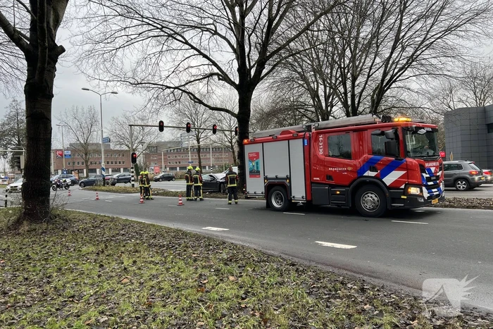 Bestuurder van een Tesla botst op boom