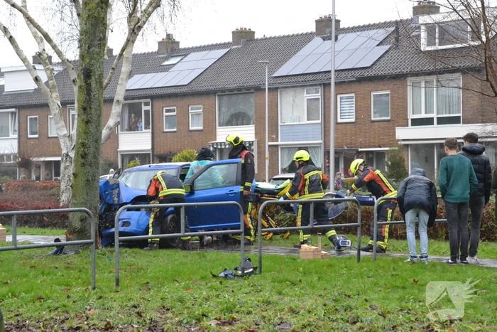 Auto klapt frontaal op boom