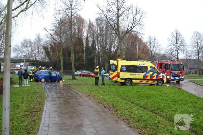 Auto klapt frontaal op boom