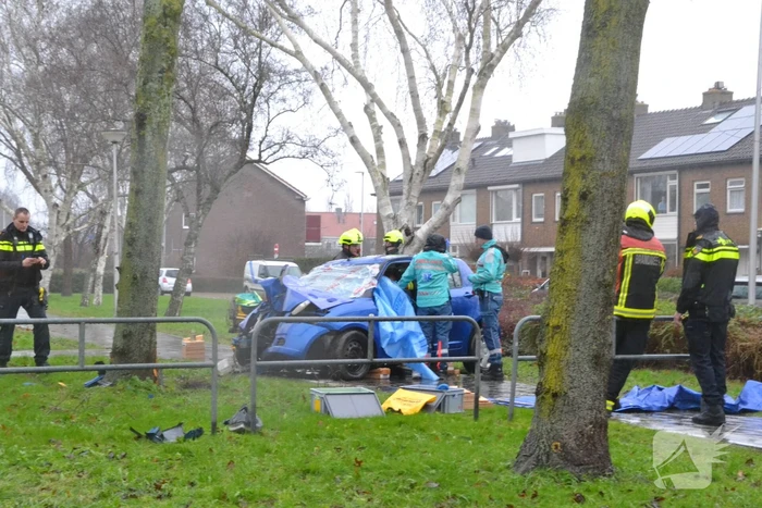 Auto klapt frontaal op boom