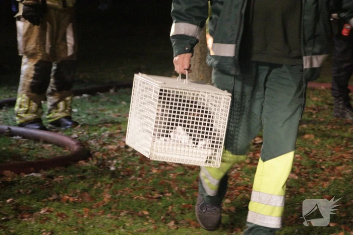 Grote brand verwoest twee woningen