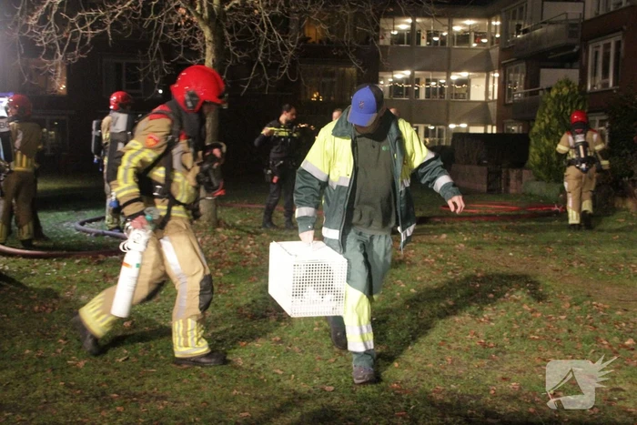 Grote brand verwoest twee woningen