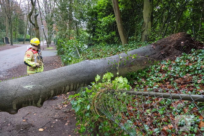 Omgewaaide boom verspert weg