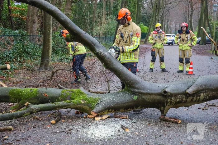 Omgewaaide boom verspert weg