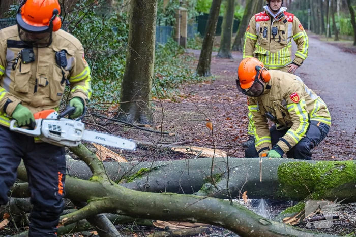 Omgewaaide boom verspert weg