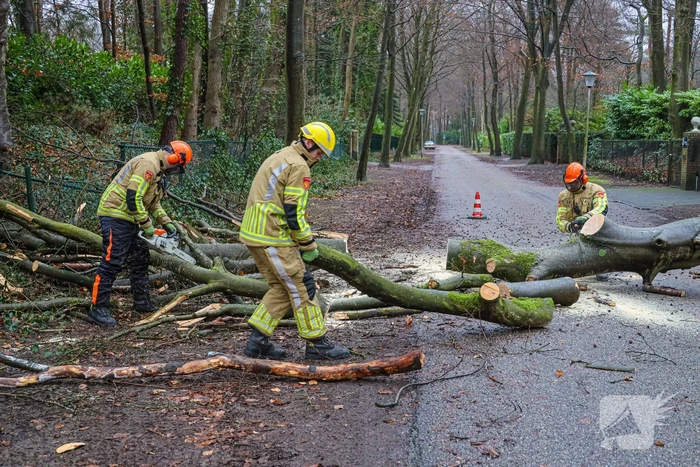 Omgewaaide boom verspert weg