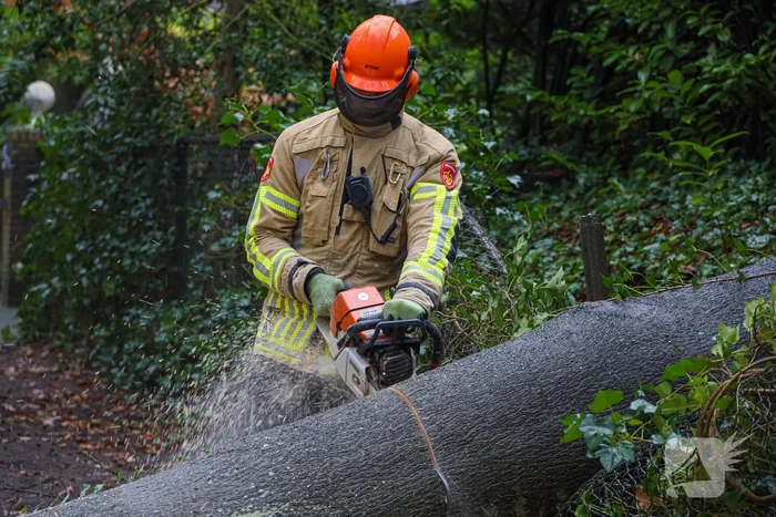 Omgewaaide boom verspert weg