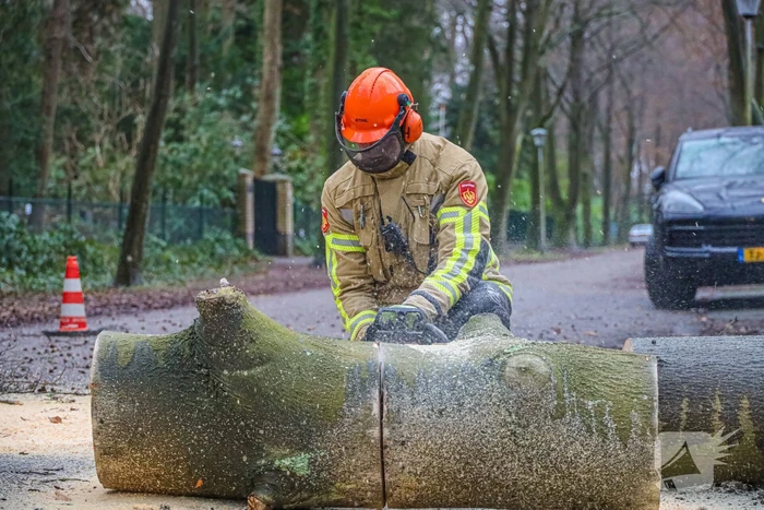 Omgewaaide boom verspert weg