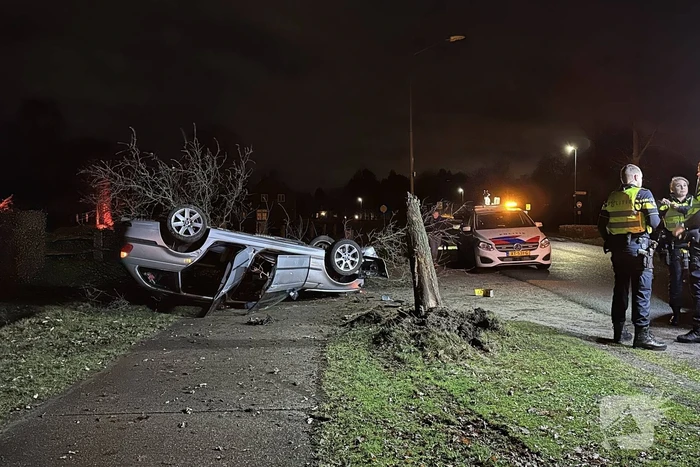 Bestuurder gewond na eenzijdige aanrijding met boom