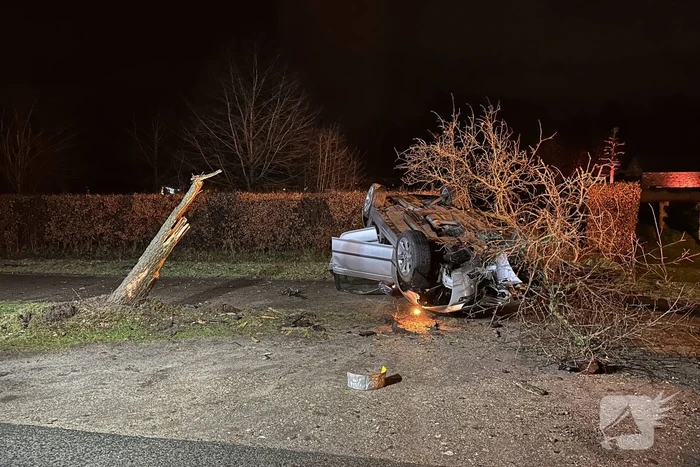 Bestuurder gewond na eenzijdige aanrijding met boom