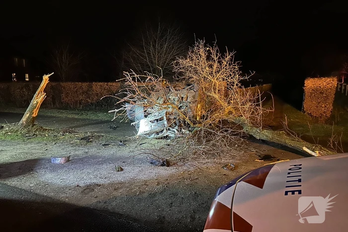 Bestuurder gewond na eenzijdige aanrijding met boom