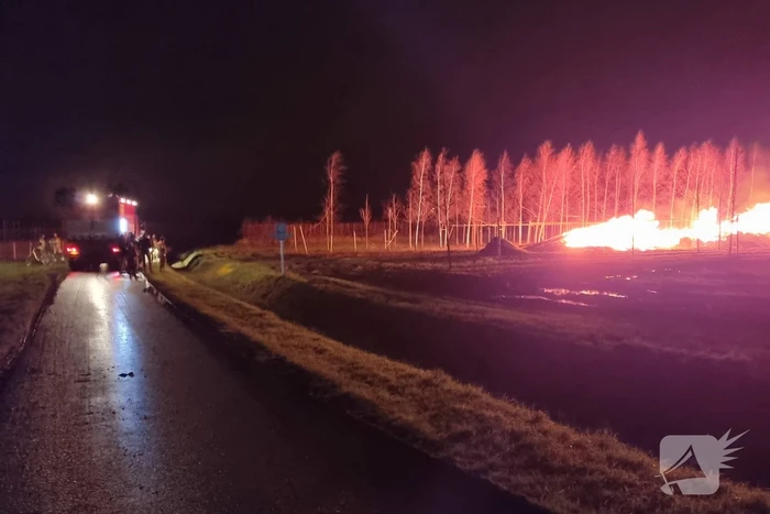 Stapel hout in brand