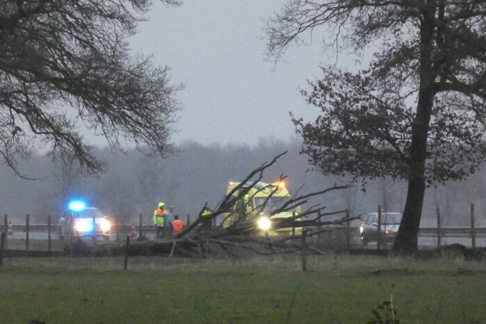 Auto raakt van de weg en belandt in berm