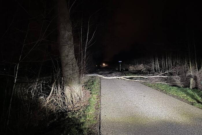 Weg geblokkeerd door omgevallen boom