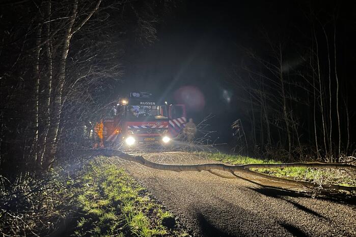 Weg geblokkeerd door omgevallen boom