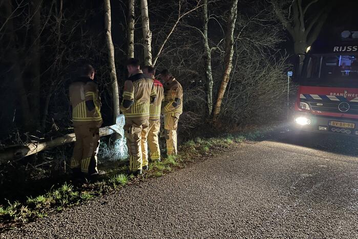 Weg geblokkeerd door omgevallen boom