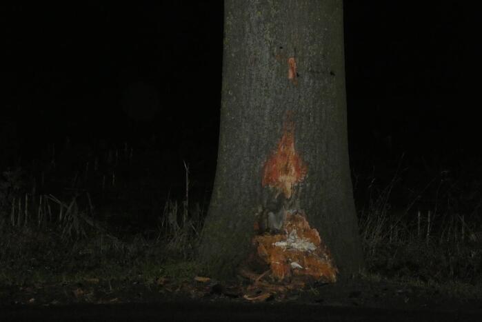 Schade aan bestelbus door botsing tegen boom