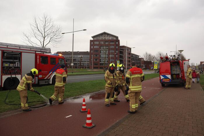 Zwaan met poot vast aan visdraad