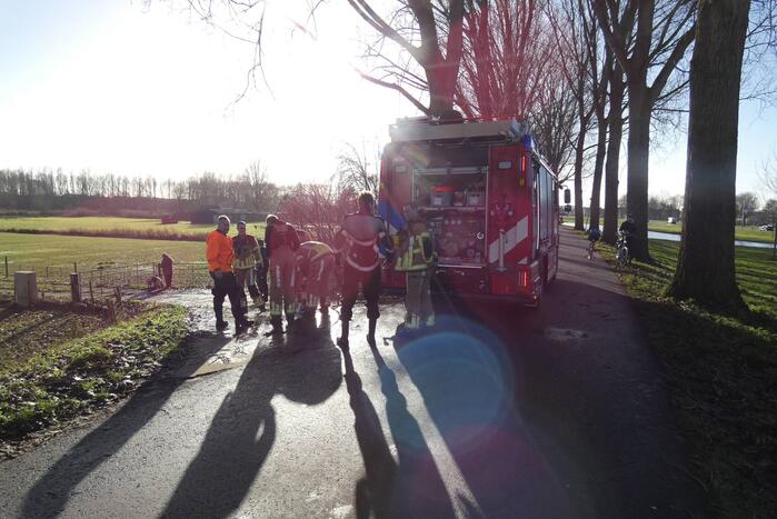 Brandweer redt schaap uit water