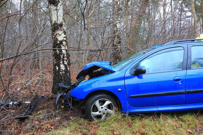 Automobilist raakt van de weg en botst tegen boom