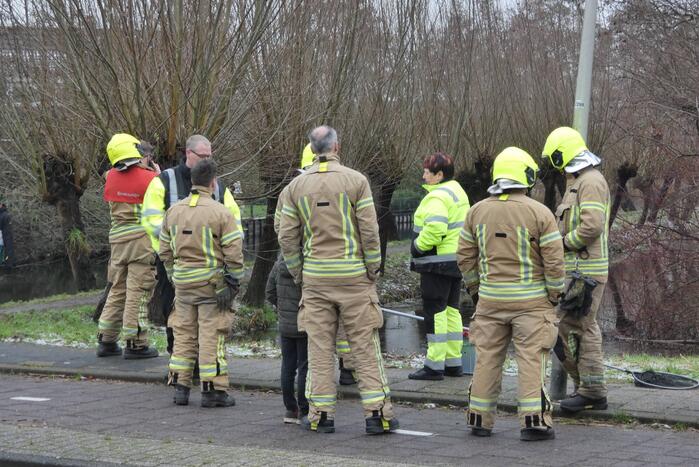 Brandweer redt uil uit boom