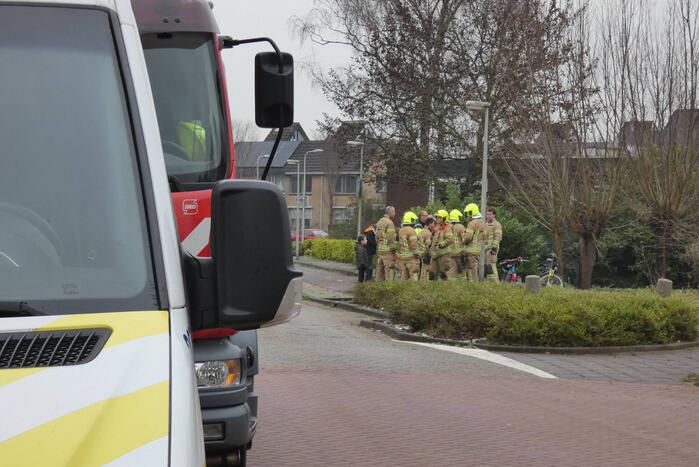 Brandweer redt uil uit boom