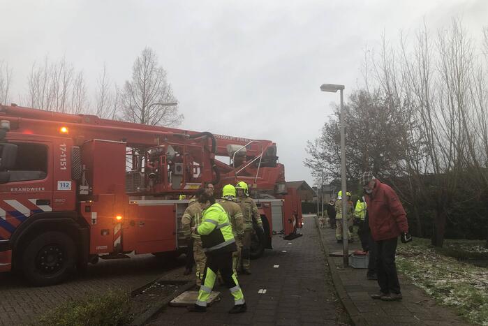 Brandweer redt uil uit boom
