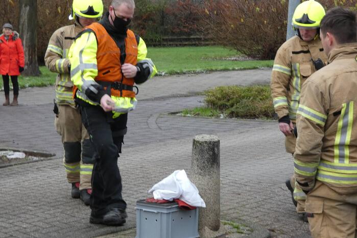 Brandweer redt uil uit boom