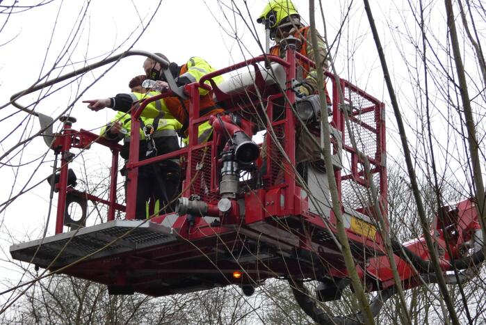 Brandweer redt uil uit boom