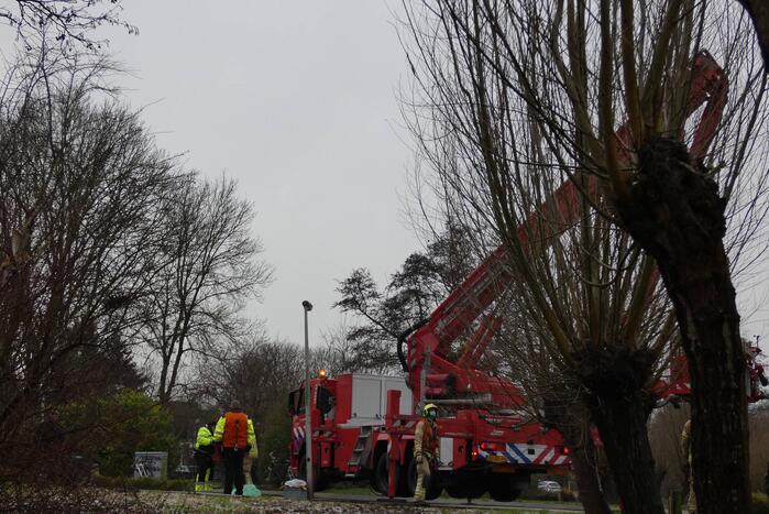Brandweer redt uil uit boom