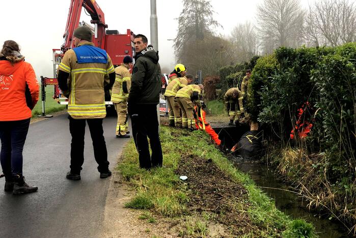 Paard valt in sloot