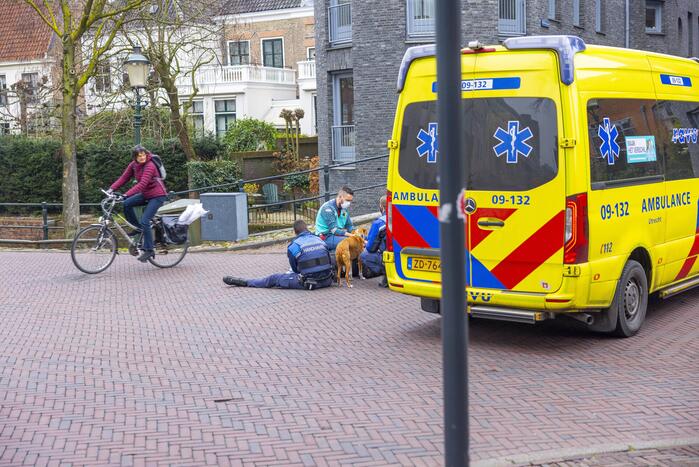 Fietsster slaat over de kop met aangelijnde hond