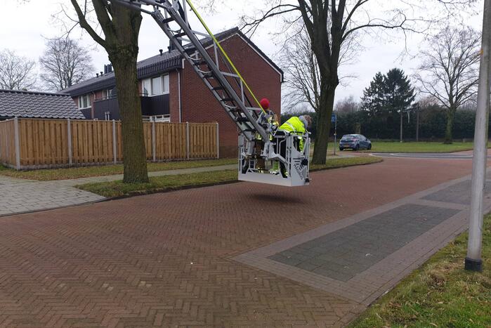 Brandweer haalt vast zittende vogel uit boom